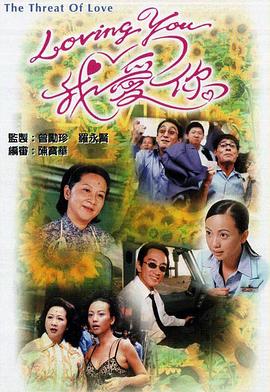 Loving You我爱你国语海报